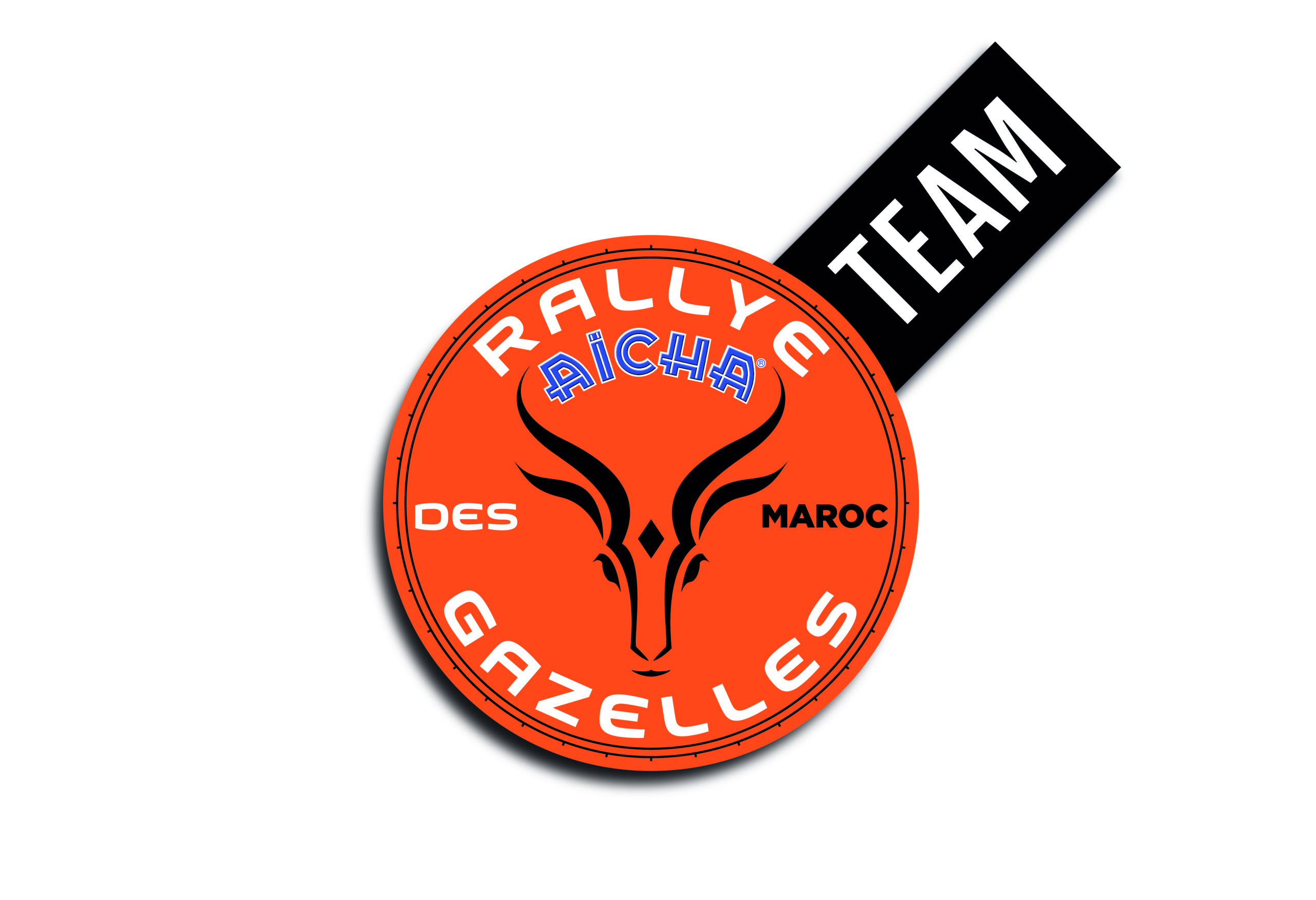 TEAMRallyeDesGazelles_Logo-02